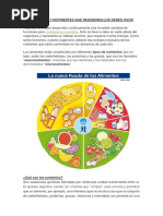 Alimentos y Nutrientes Que Requieren Los Seres Vivos