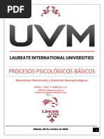 Mecanismos Atencionales y Síndromes Neuropsicológicos