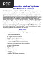 3.3 Actividades de Apropiación Del Conocimiento (Conceptualización y Teorización)