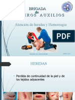 Capacitacion Brigada de Primeros Auxilios - HERIDAS Y HEMORRAGIAS