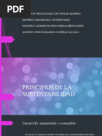 Principios de La Sustentabilidad