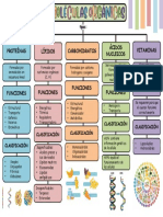 Mapa Conceptual Biomoléculas Orgánicas