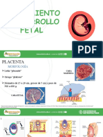 Crecimiento y Desarrollo Fetal Grupo 2 Final 2