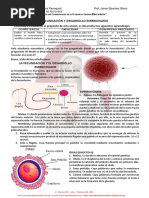 Fecundación - Desarrollo Embrionario