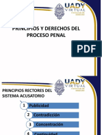 03 Principios y Derechos Del Proceso Penal