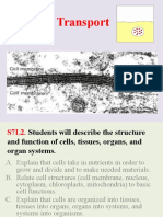 Cell Transport Powerpoint