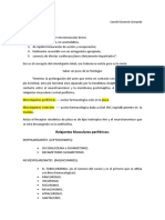 Clase 11 - Miorelajante Periferico y Central (Conchi + Genesis)