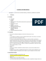 Esquema de Informe Mensual