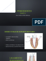 El Periodonto Parte 2