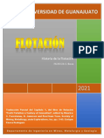 Historia de La Tecnología de La Flotacióna 1