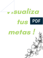 VISUALIZA METAS COMPLETO - Compressed