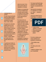 Triptico Salud Mental