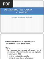 Cap 79. Paratiroides, Metabolismo Del Calcio y Fosforo