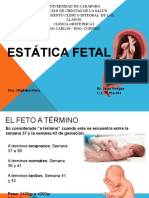 PDF Documento