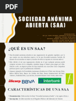 Sociedad Anónima Abierta (SAA) - Exposicion