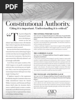 Constitution Ad Politico