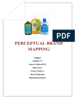 Assignment 2 Perceptual Brand Mapping Group 4 PDF