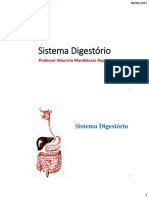 Sistema Digestório