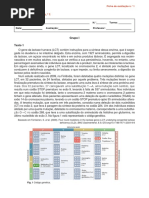 Odis11 - Ficha - Avaliacao - 1 1