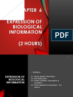 6.2. DNA Replication PDF