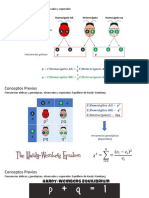 GenÃ©tica Evolutiva P1