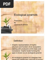 Ecological Pyramids, Energy Flow & Nutrient Cycle