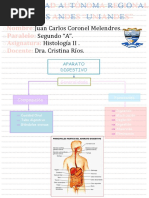 Aparato Digestivo