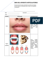 Ficha de Examen Del Aparato Articulatorio