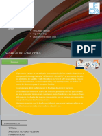 PDF Documento