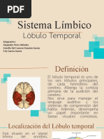 Lobulo Temporal