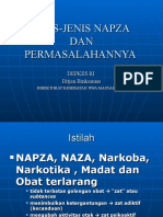 Jenis-Jenis Napza