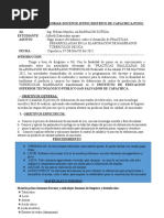 Informe #01