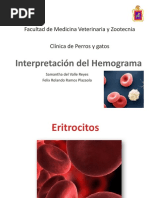 Interpretación Del Hemograma