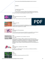 Virus Del Papiloma Humano: Primera Aparición Del VPH