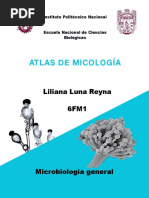 Atlas Mico pdf-1