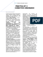 Práctica 3. Tejido Conjuntivo Ordinario