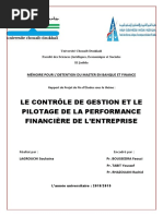 Controle de Gestion Et Pilotage de La Performance Financière de L'entreprise