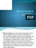 Marea Neagra