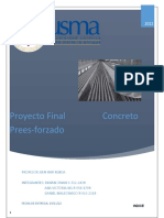 Proyecto Final Concreto Prees