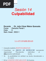 Sesión 14 - Derecho Penal I - Culpabilidad