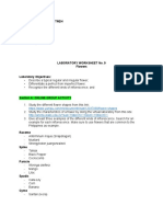 Lab Worksheet 9 Updated Flower