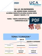 Mapa Conceptual Cardiovascular