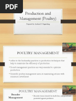 Management Practices On Poultry