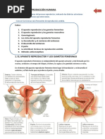 Bloque III - Anatomía y Fisiología3