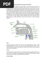 Human Speech Organs