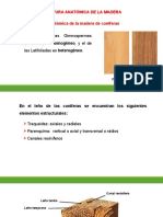 Estructura Anatomica de La Madera