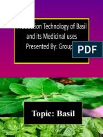 Basil