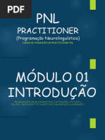 Practitioner: (Programação Neurolinguística)