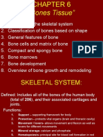 Chapter 6 Bone Tissue 2304