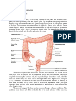 Anatomy and Physiology